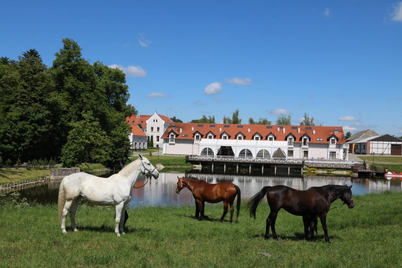 Palac Mortegi Hotel & Spa- Restauracja Szlachecka, Spa, Basen, Sauny, Jazda Konna, Mini Zoo- Luksus, Relaks I Przyroda W Jednym! Lubawa 외부 사진