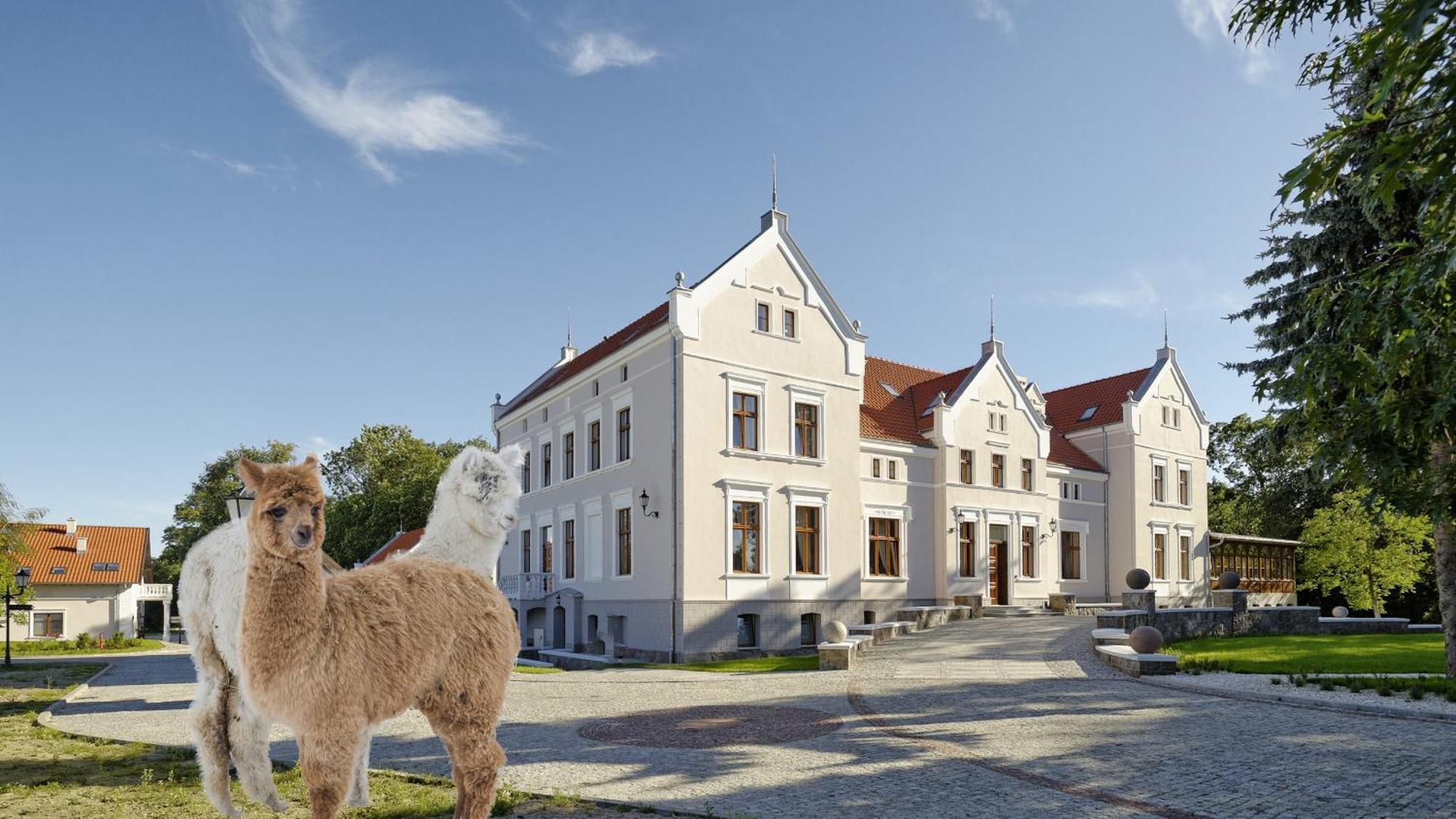 Palac Mortegi Hotel & Spa- Restauracja Szlachecka, Spa, Basen, Sauny, Jazda Konna, Mini Zoo- Luksus, Relaks I Przyroda W Jednym! Lubawa 외부 사진